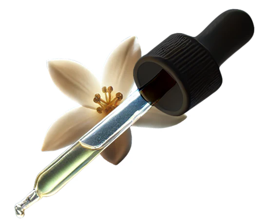 CBD Sleep Oil
