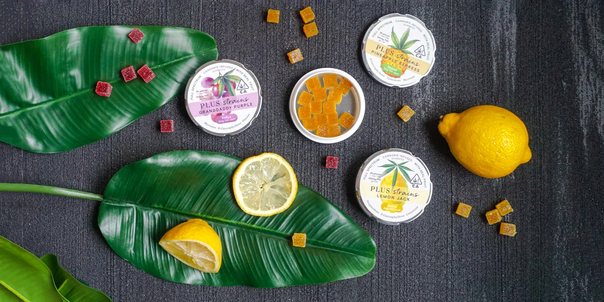 Cannabis gummies scattered beside open tins labeled 100mg THC, with fresh lemons and tropical leaves