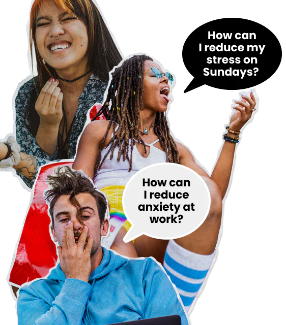 Collage of Sunday Scaries Customers