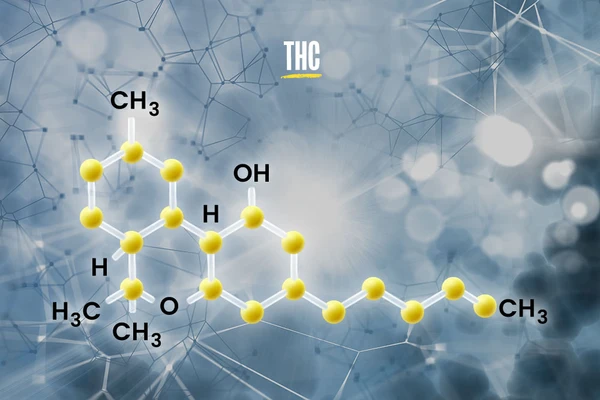 The chemical structure of THC