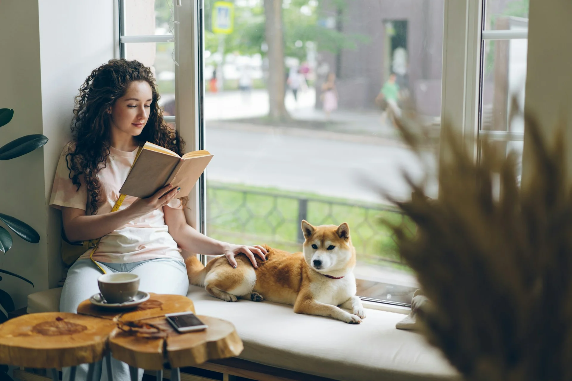 A girl relaxes reading a book with her dog in a window, relaxing after drinking Kava