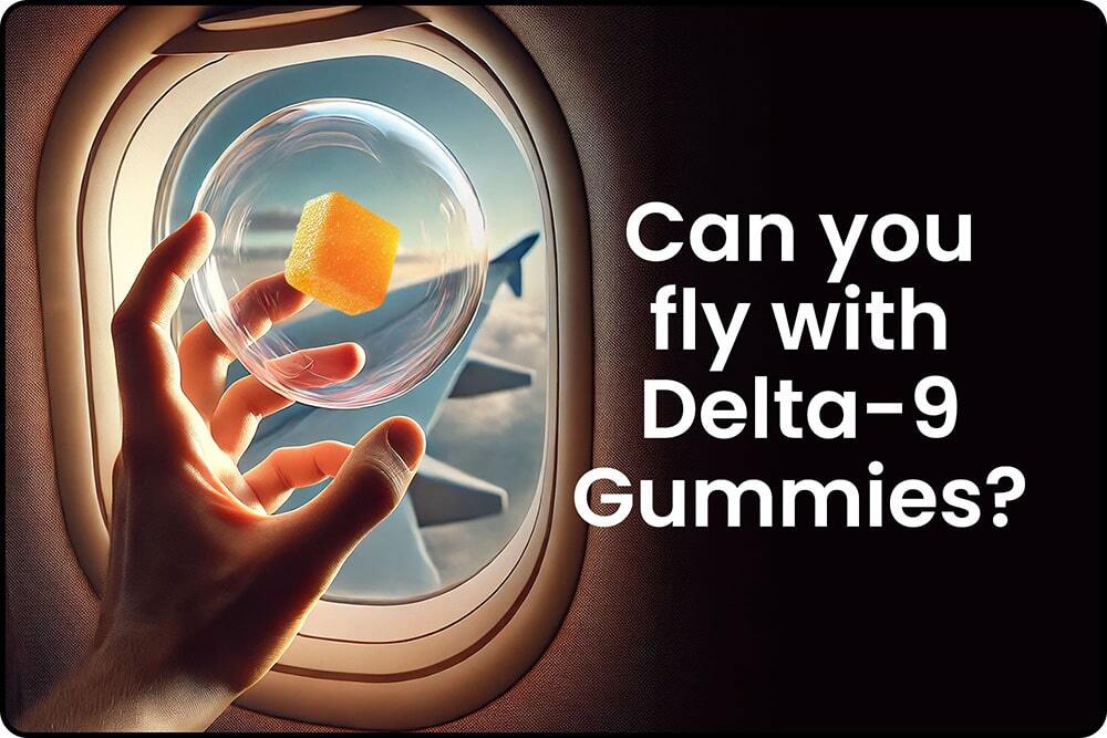 A traveler holds up a gummy on an airplane, showing that you can fly with delta-9 gummies