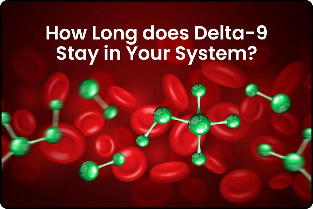 The Delta-9 molecule inside the body showing how long Delta-9 stays in your system