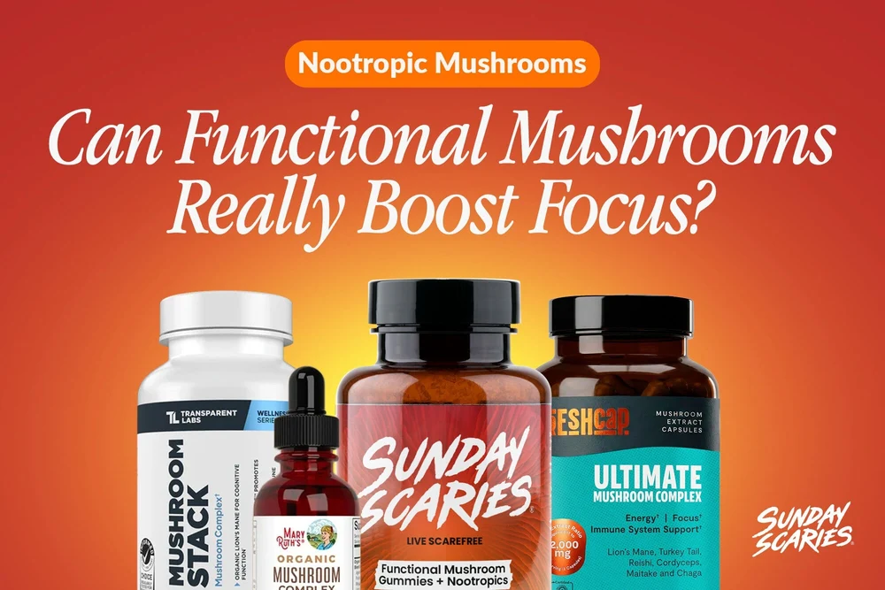 Nootropic mushrooms