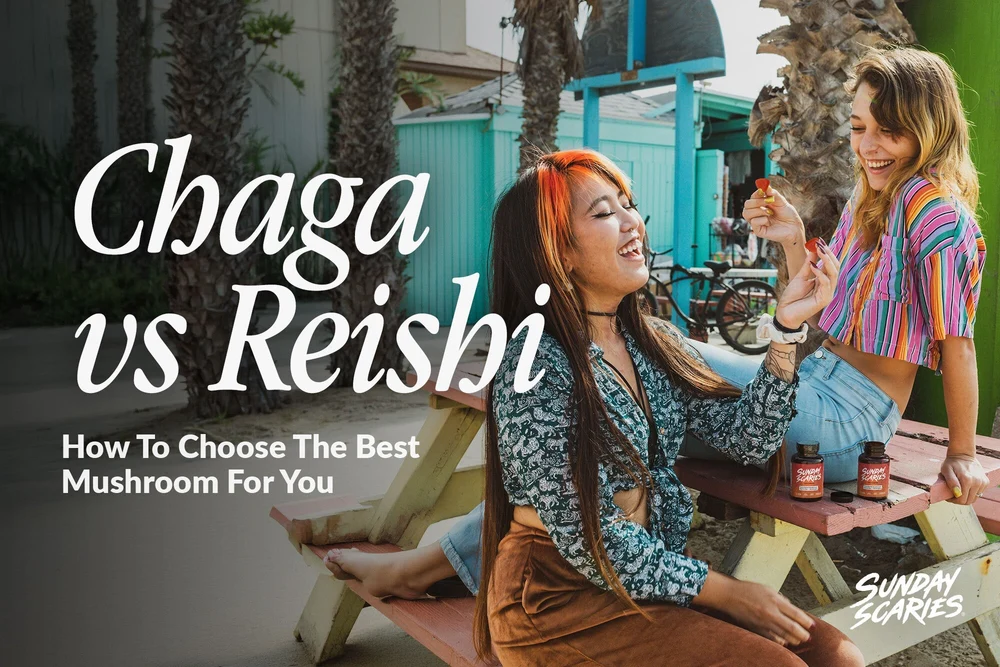 chaga vs reishi