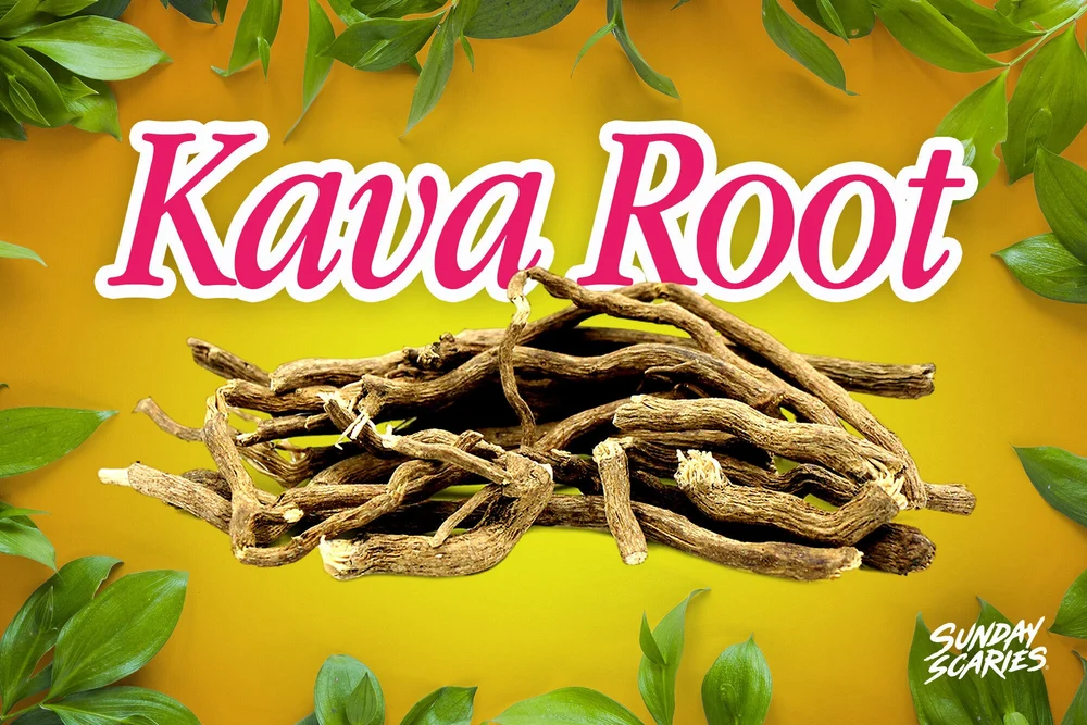 Kava Root: Why Only One Part of the Plant Ends Up in Your Cup