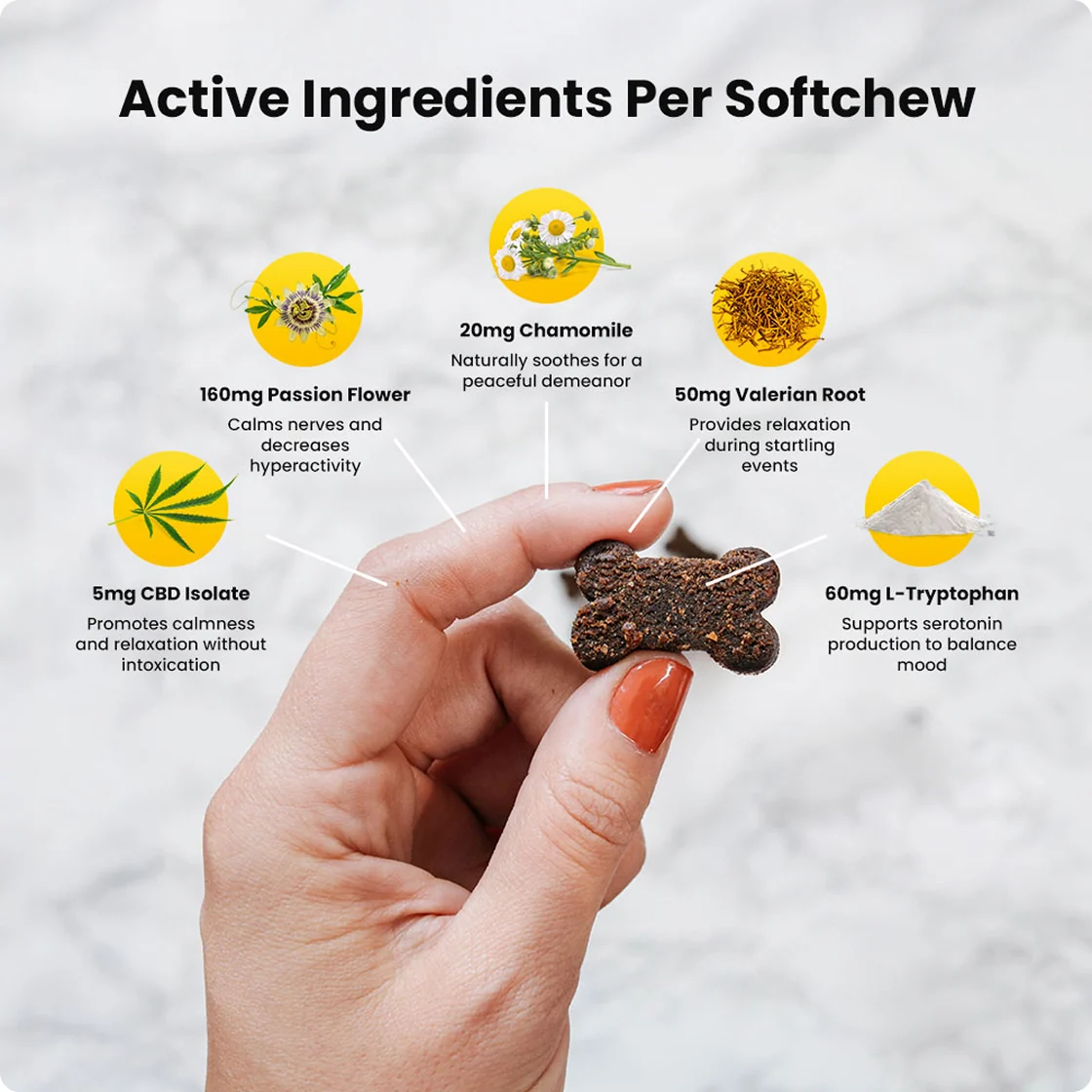 A woman's hand holds up a Sunday Scaries dog calming soft chew with icons for the active ingredients